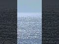 رقية حرق التابعة ام الصبيان الموروثة للسلالة الزوهرية وفصلها عن الجسد باذن الرحمان رقية حرق التابعة ام الصبيان الموروثة للسلالة الزوهرية وفصلها عن الجسد باذن الرحمان