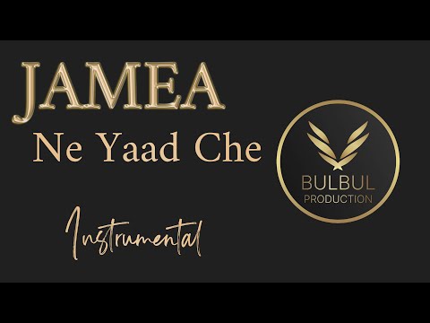Jamea Ne Yaad Che | Instrumental | Bulbul Production