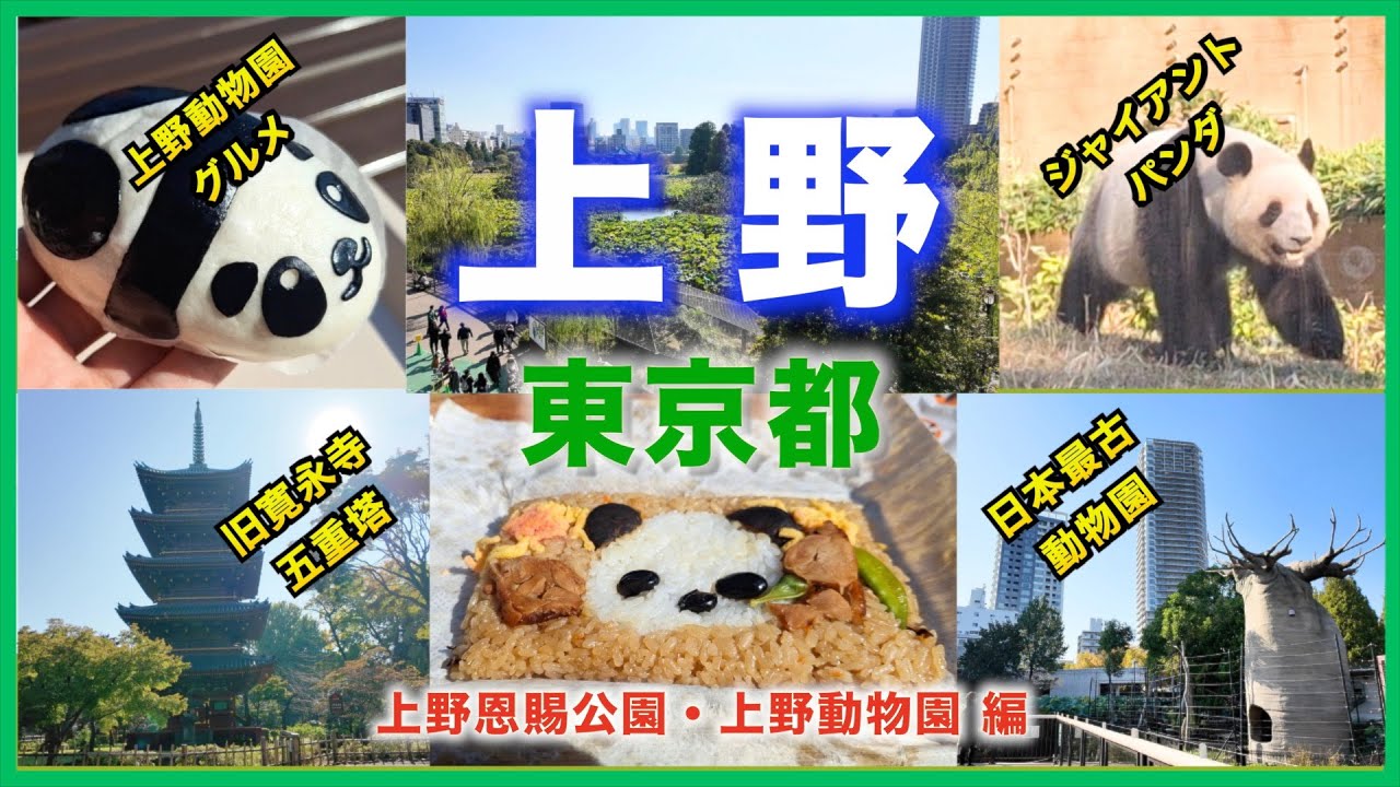【徒歩旅・上野観光・グルメ2選】上野動物園のグルメやみどころ、歴史を歩きながら紹介！！中国へ帰ってしまう双子のパンダや魅力的な動物など盛り沢山！