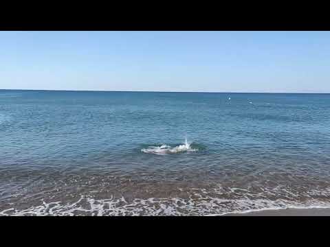 Antalya Akdeniz | Sabahları yüzmek çok keyifli??? 15.07.2022
