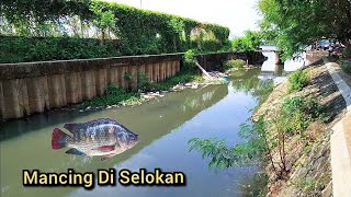 Mencari Sensasi Strike Di Selokan Kota Jakarta