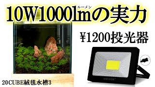 Amazonの10W1000ルーメンの投光器が水槽用ライトとしてどうなのか。【アクアリウム】