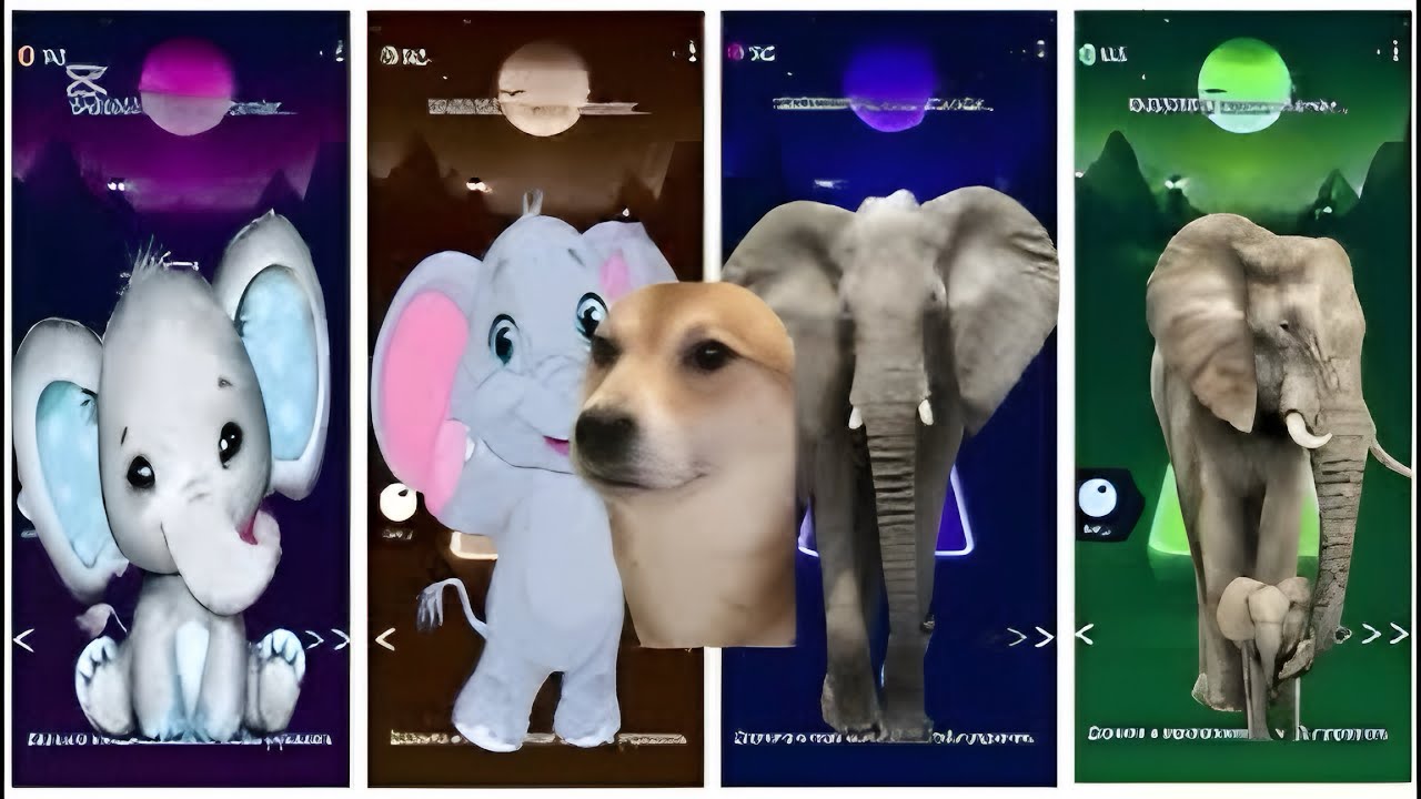 Elephant tiles hop edm rush new update coffin dance 💃