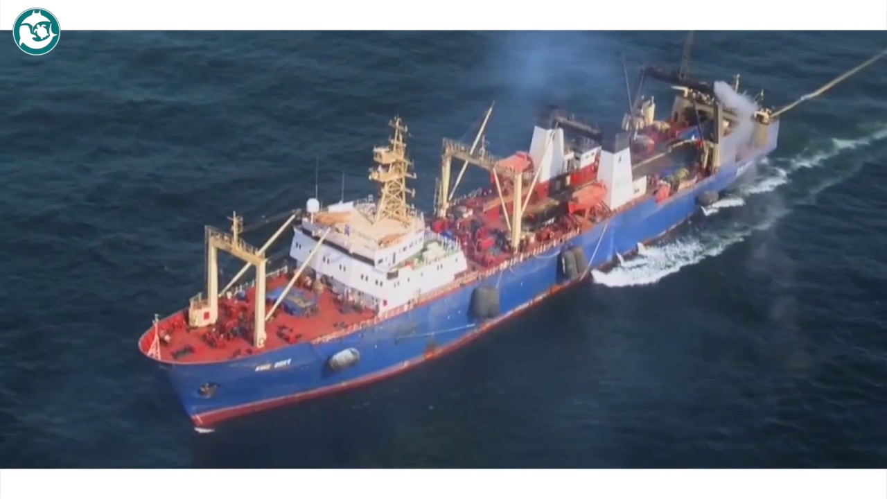 Bazaruto Ocean Guardians