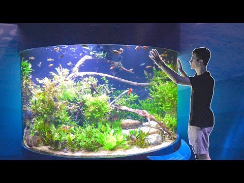 insane-aquarium-exhibit!!!---🤯