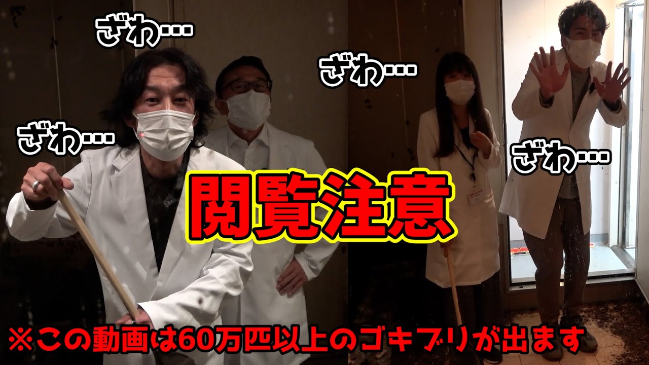 モザイクなし】60万匹以上ゴキブリがいる部屋に入ってみたら 