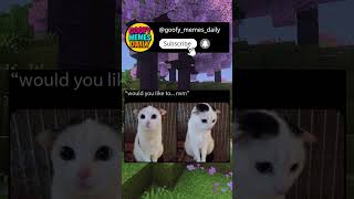 Sad looking cat... 🥲 #shorts #funny