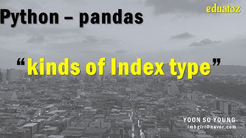 [PYTHON][pandas_06] Index 타입의 종류 (RangeIndex, Int64Index, Index, DateTimeIndex)