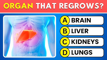 Can You Pass This Human Body Quiz? 🧠 30 Anatomy Questions 📚