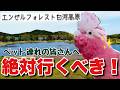 【エンゼルフォレスト白河高原】最高のペットフレンドリー施設なのに春ちゃんだけ情緒が大荒れでした(笑)【おしゃべりモモイロインコ】