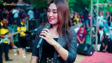 CAMELIA PELAN TAPI PASI - CINTA RAHASIA RIA ANDIKA - BP.SUNARTO SOUND TUBANAN DUREN