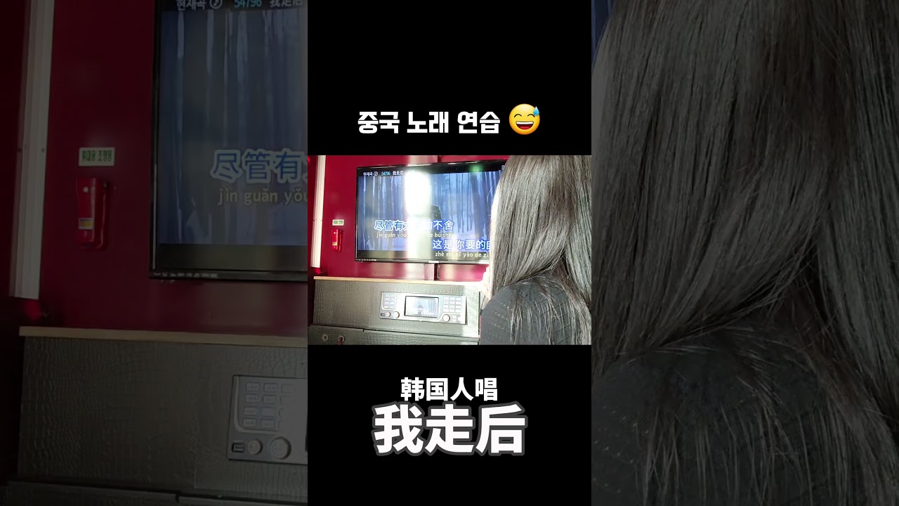 중국 노래 연습 我走后