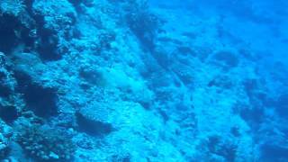 MVI_0747.AVI