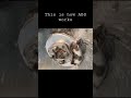 This Is How The Anti Lock Braking System Works Car Fyp Mechanic ABS This Is How The Anti Lock Braking System Works Car Fyp Mechanic ABS