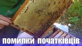 Бджільництво для початківців. Пасіка для початківців та новачків