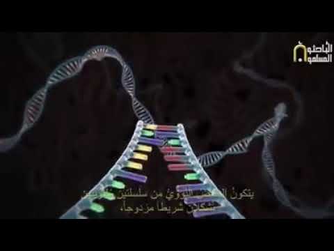 CRISPR or Clustered Regularly Interspaced Short Palindromic Repeats) ا
