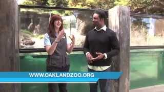 Wildlife Wednesday Focus On River Otters