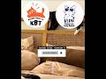 Kagak berangkat kerja bang || Kucing Lucu Paling Ngakak Part 1909 || #funny #shorts #fyp