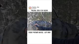 뒷목잡는 털갈이 영상 #shorts