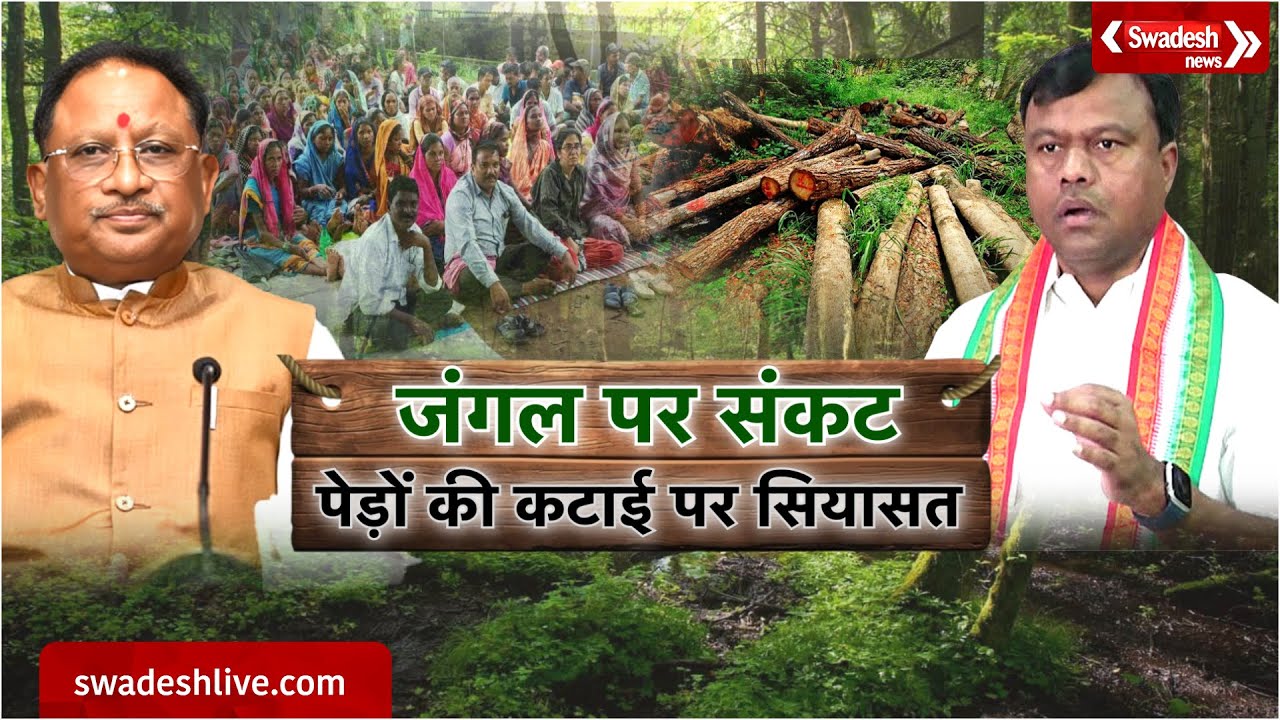 कटते पेड़ों पर बढ़ती सियासत, क्या छत्तीसगढ़ में विकास के नाम पर हो रहा जंगल का विनाश? | Swadesh News