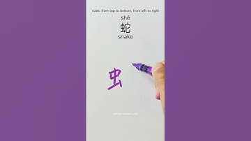 how to write snake 蛇 in Chinese  #chinesewriting #hanzitutorial #learnchinese #writechinese #hsk