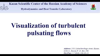Visualization of turbulent pulsating flows Wealth