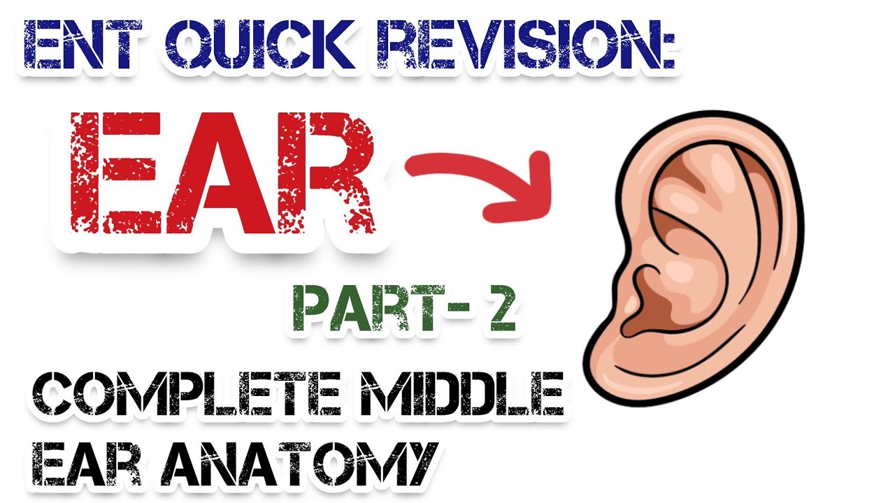 Complete Ear COMPLETE Middle Ear Anatomy | Dr Deen Lectures - YouTube