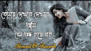 amar Hridoy akta Ayna || lofi song || Slowed Reverb || Bangla song lyrics || Sad song #sadsong#video