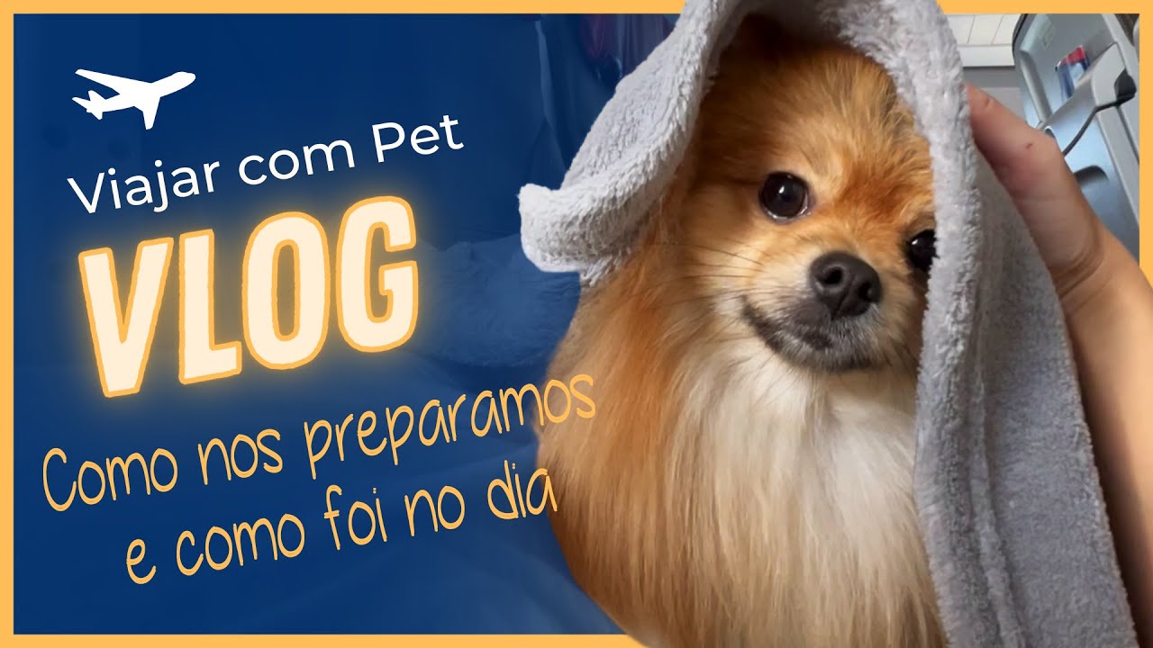 VLOG: Como preparei meu pet para viajar de avião e como foi no voo