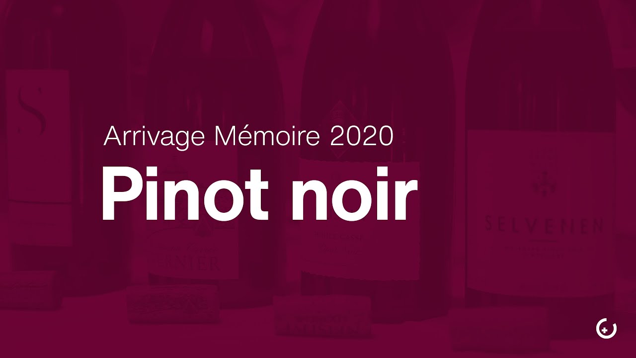 Arrivage Mémoire 2020 – Pinot noir