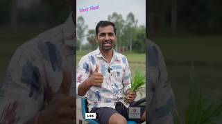 Corn Planting Machine🌽#Corn #Farming #Agriculture #FarmTech #Innovation #Machines #USA #Shorts#Maize