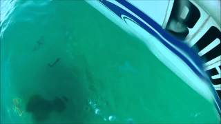 Rs At Disaster Rock Broome Wa