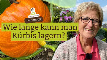 Wie lange braucht ein Kürbis bis er gar ist?