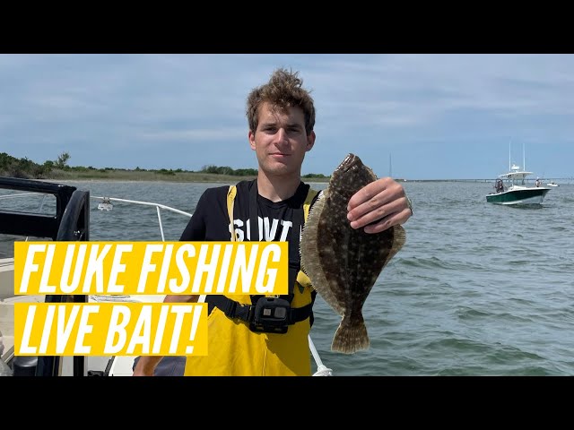 Fluke Fishing With Live Killies! Does Live Bait Work Better? Long