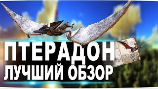 Птеранодон (Pteranodon) в АРК. Лучший обзор: приручение разведение и способности  птеродактиля в ark
