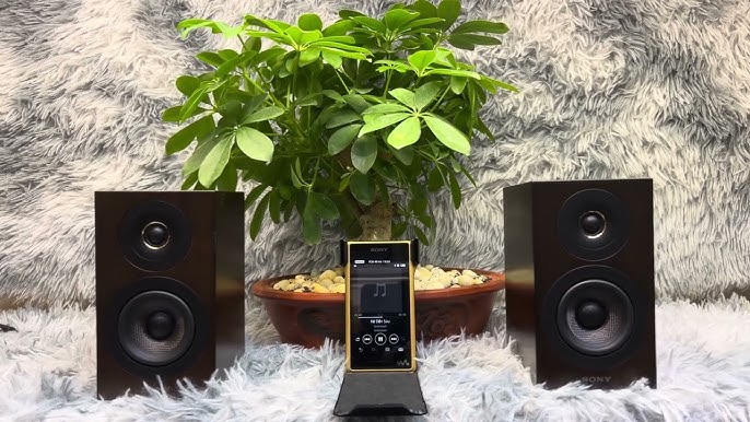 Cách chọn mua loa vi tính phù hợp