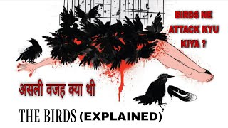 The Birds (1963) Movie Explained: Kyun Attack Kiya? | Hidden Meaning & Ending Analysis