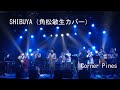 SHIBUYA(角松敏生カバー)