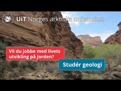 Video: I USA Kunngjorde De Teknologien For å Transportere En Person Til Hvor Som Helst På Jorden I Løpet Av En Time - Alternativ Visning