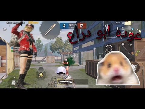 جيم مستودع عوده ابو دراع اوعا الفحت لاينزل تحت 