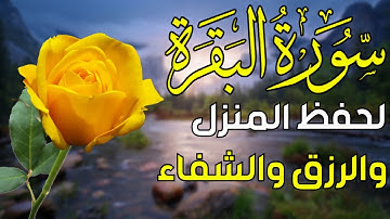 سورة البقرة 😇 أستمع بنية الرزق والبركة وطرد الشيطان ~ تلاوة تلامس الروح💕