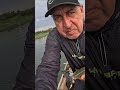 CURIMBA deliciando com TRIPA de FRANGO! #pescaria #barcopesqueiro #fishing #pesca #esportiva