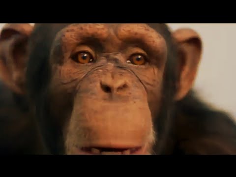 bigfoot-official-trailer-(2020)-horror-movie