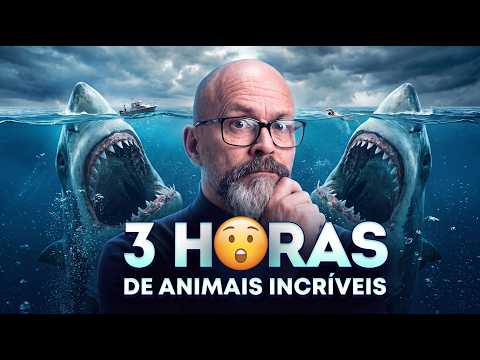 3 HORAS DE ANIMAIS QUE VOCÊ NÃO VAI ACREDITAR QUE EXISTEM 😲