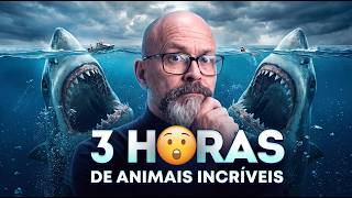 3 HORAS DE ANIMAIS INCRÍVEIS E RAROS DO MUNDO 😲