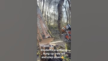Cracking view of a hung up tree roll out & step down used…defo worth a watch #training #chainsaw
