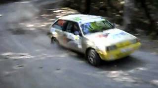 IRC Yalta Rally 2011 SS14