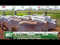 LOTE M07