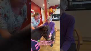 Help De Mini’s onderweg naar hun volgende bezoek💚🐴