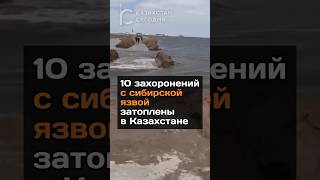 10 захоронений с сибирской язвой затоплены в Казахстане #казахстан #сибирскаяязва #паводок #новости